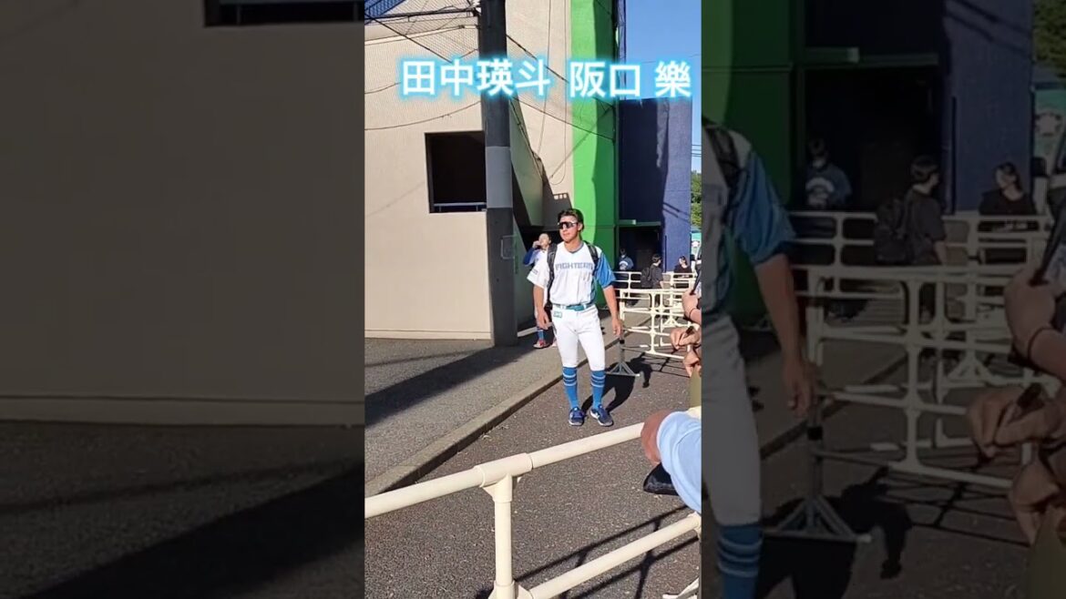 【FIGHTERS】 #水谷瞬 #阪口樂 #田中瑛斗 #shorts #北海道日本ハムファイターズ #プロ野球 #baseball #fighters