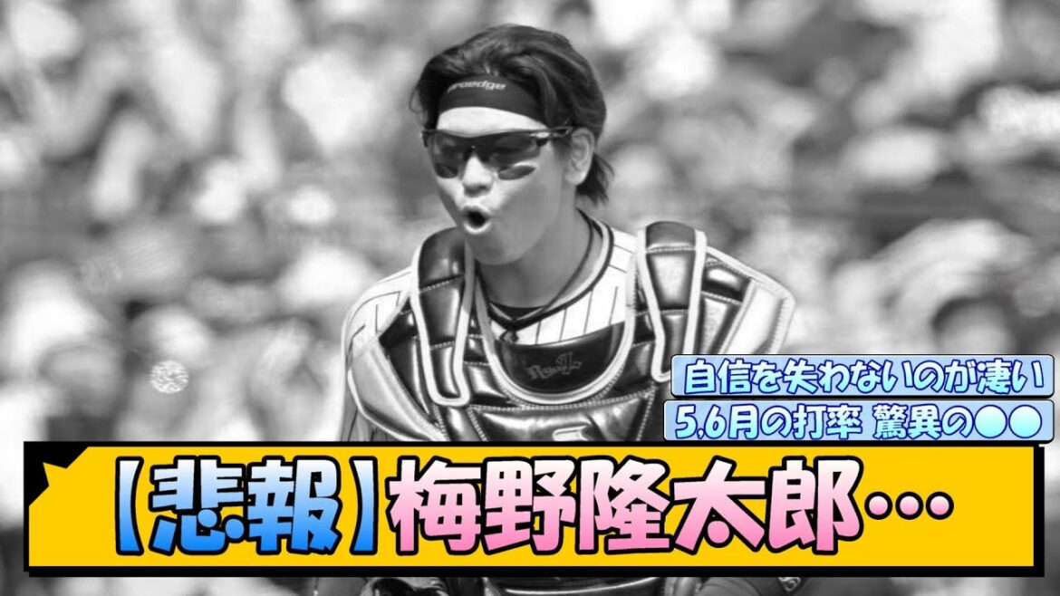 【悲報】梅野隆太郎…【なんJ/2ch/5ch/ネット 反応 まとめ/阪神タイガース/岡田監督】