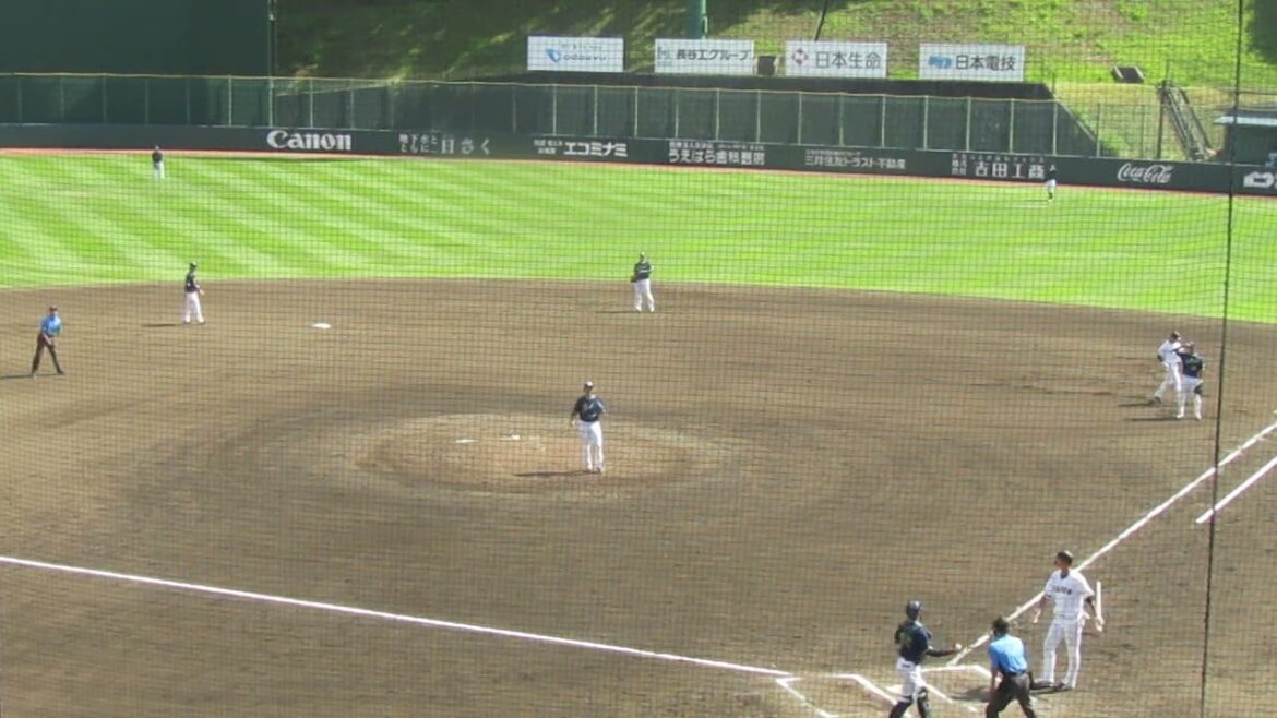 秋広優人 原樹理から同点タイムリーヒット2024年5月29日 読売ジャイアンツ対ヤクルトスワローズ