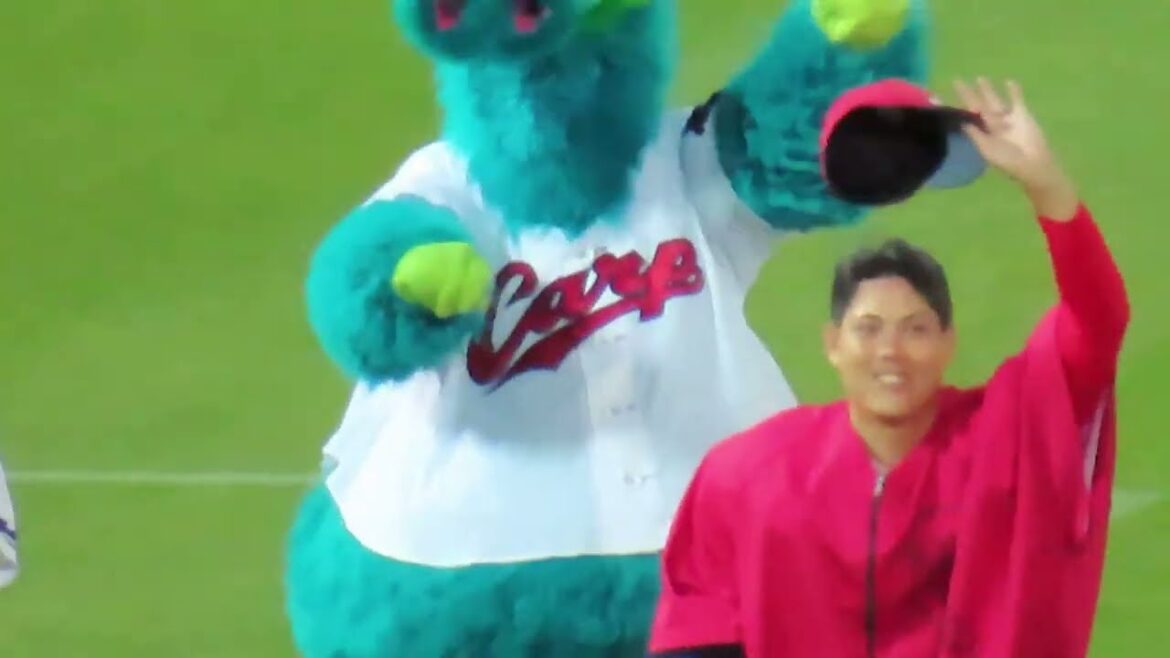 新井監督100勝おめでとう❗パフォーマンス席🎏勝利の二次会🎺対日本ハムファイターズ 2024.6.6