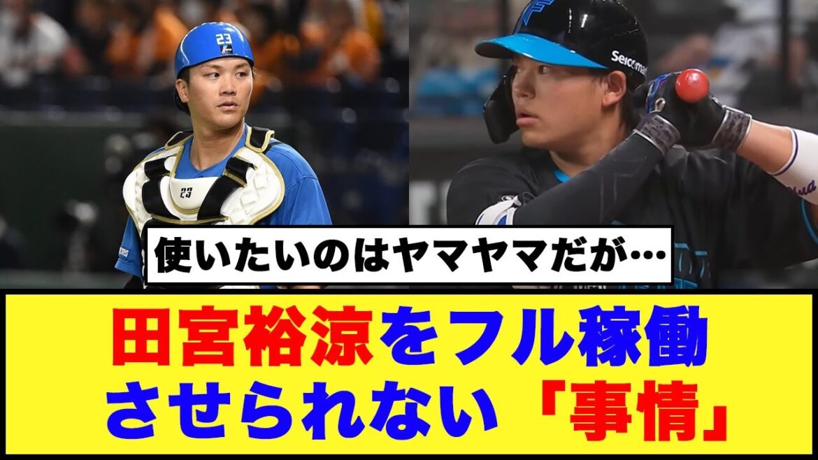 【日本ハム】田宮裕涼をフル稼働させられない「事情」【日本ハム反応集】【ネットの反応】#日本ハムファイターズ #田宮裕涼 #伏見寅威