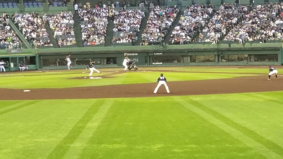 20240501　打者は来田涼斗！【Bsメインテーマ】野手汎用応援歌　1回ｳﾗ　ｵﾘｯｸｽ･ﾊﾞﾌｧﾛｰｽﾞ@ほっともっとﾌｨｰﾙﾄﾞ神戸･ﾚﾌﾄ外野