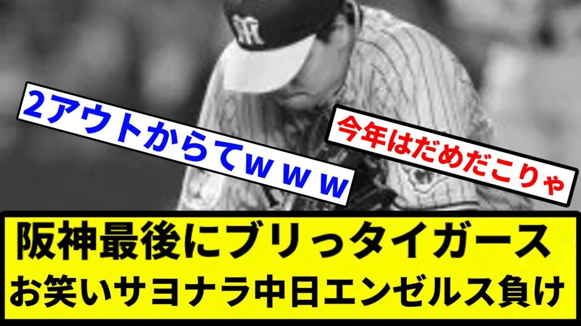 【セリーグの中日】阪神最後にブリっタイガース お笑いサヨナラ中日エンゼルス負け【プロ野球反応集】【1分動画】 【セリーグの中日】阪神最後にブリっタイガース お笑いサヨナラ中日エンゼルス負け【プロ野球反応集】【1分動画】