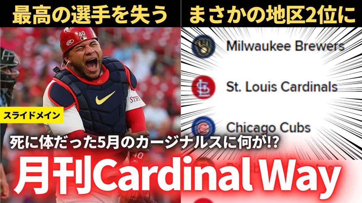 【MLB】月刊 Cardinal Way（5月号）