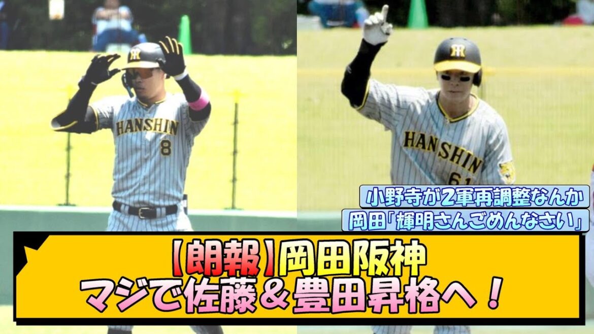 【朗報】岡田阪神、マジで佐藤＆豊田昇格へ！【なんJ/2ch/5ch/ネット 反応 まとめ/阪神タイガース/岡田監督/佐藤輝明/豊田寛/小野寺暖】