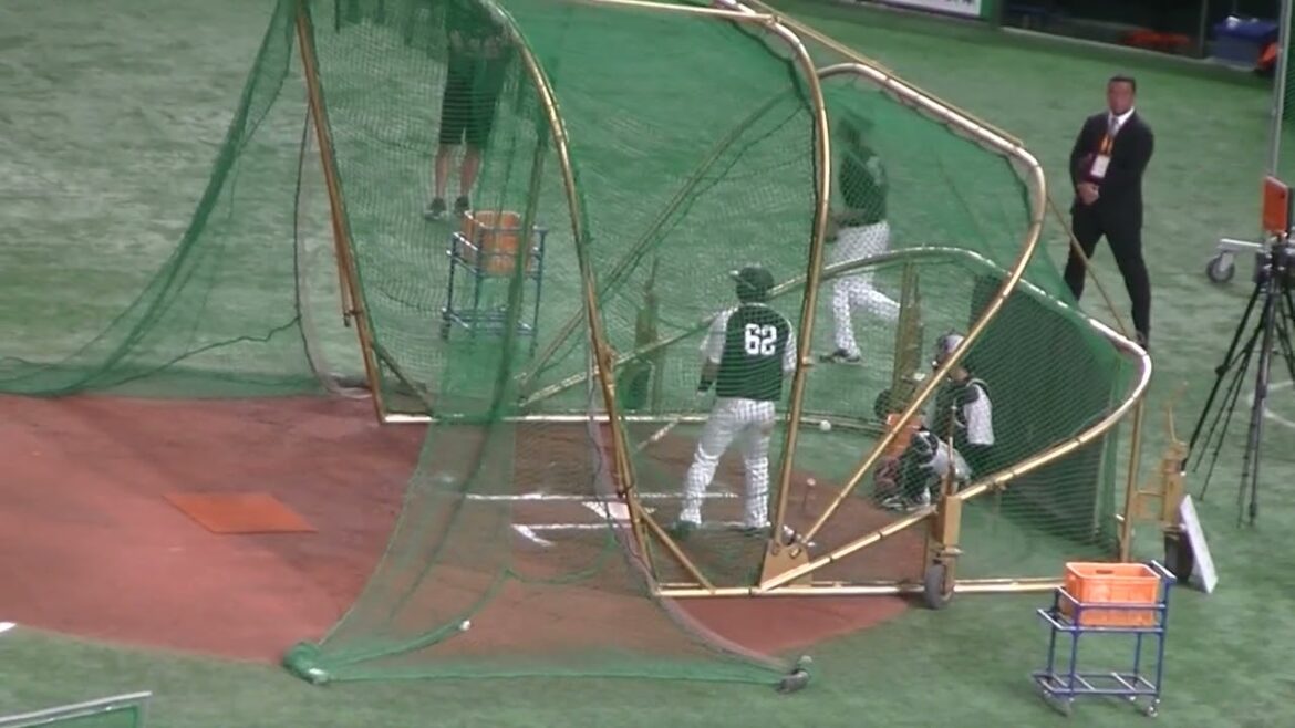 【ソフトバンク】海野隆司のフリーバッティング＜読売ジャイアンツ対 福岡ソフトバンクホークス2024年5月28日＞