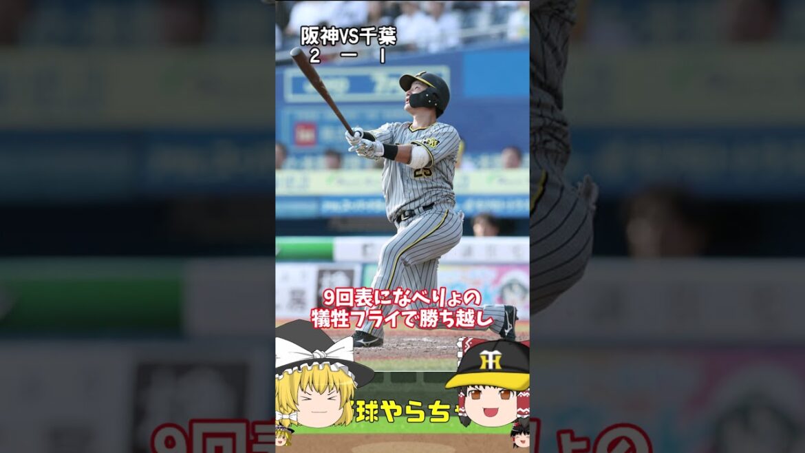 【30秒でわかる6月1日対ロッテ戦の結果】またサヨナラっすか#阪神タイガース #千葉ロッテマリーンズ