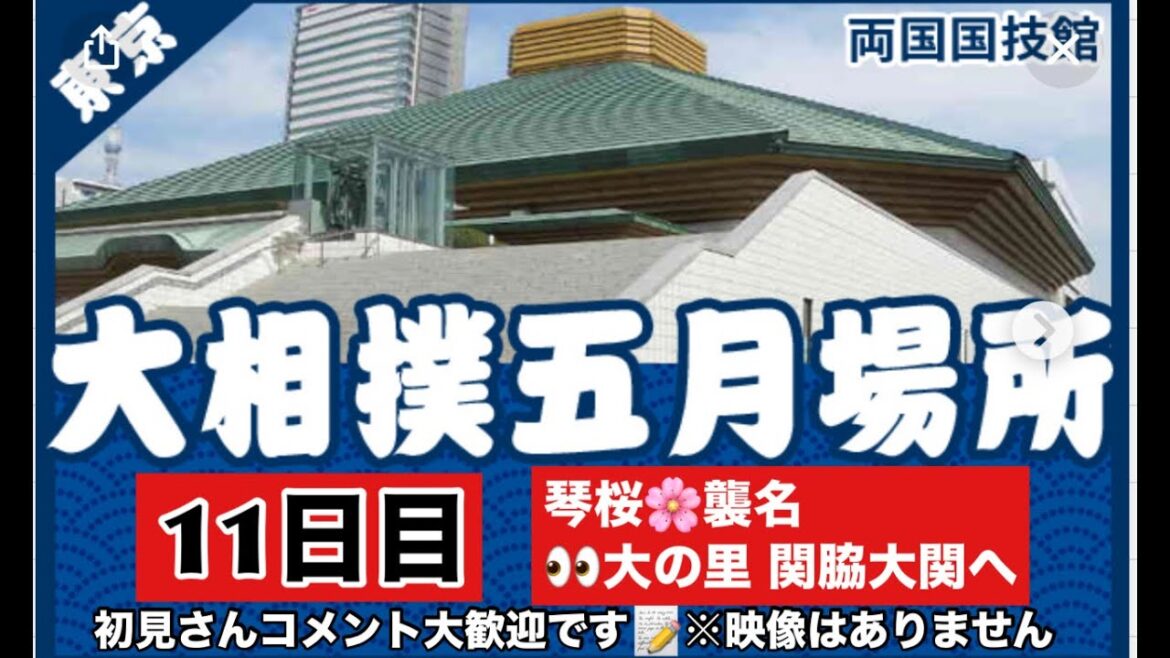 【大相撲ライブ】5月場所　11日目　初見さん＆コメント大歓迎　2024/5/22　#大相撲　＃大相撲ライブ　＃相撲