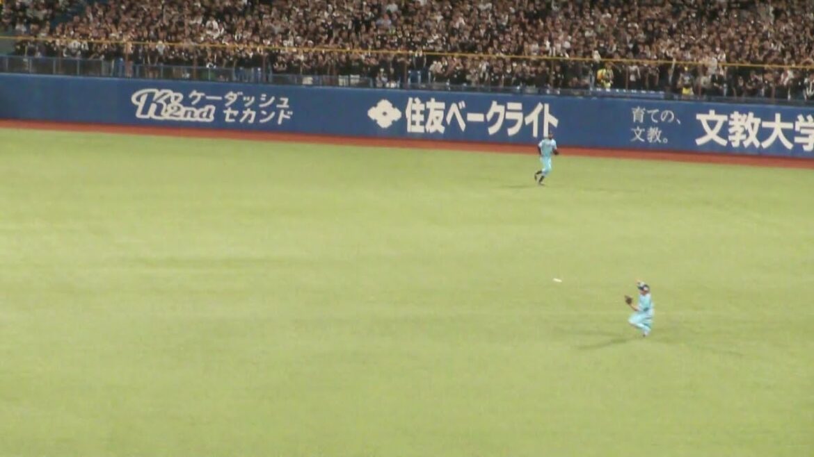 ヤクルト 西川遥輝 ナイスプレー　ヤクルト vs ロッテ　2024年5月29日(水)