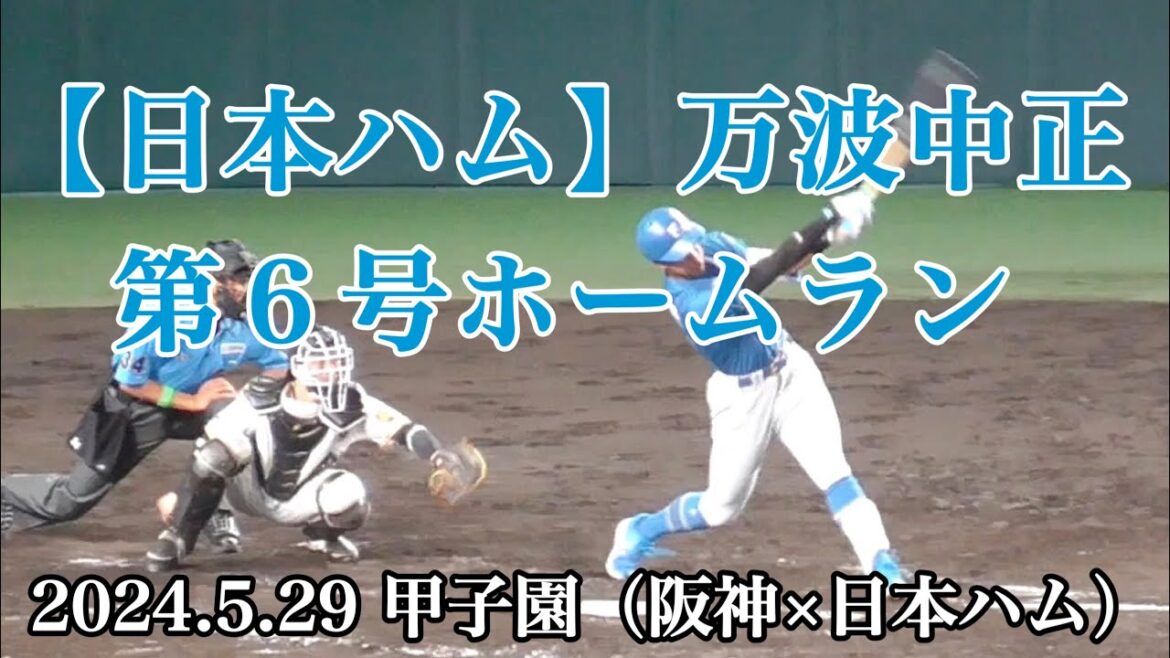 【日本ハム】万波中正 第６号ホームラン（2024.5.29 阪神×日本ハム）甲子園