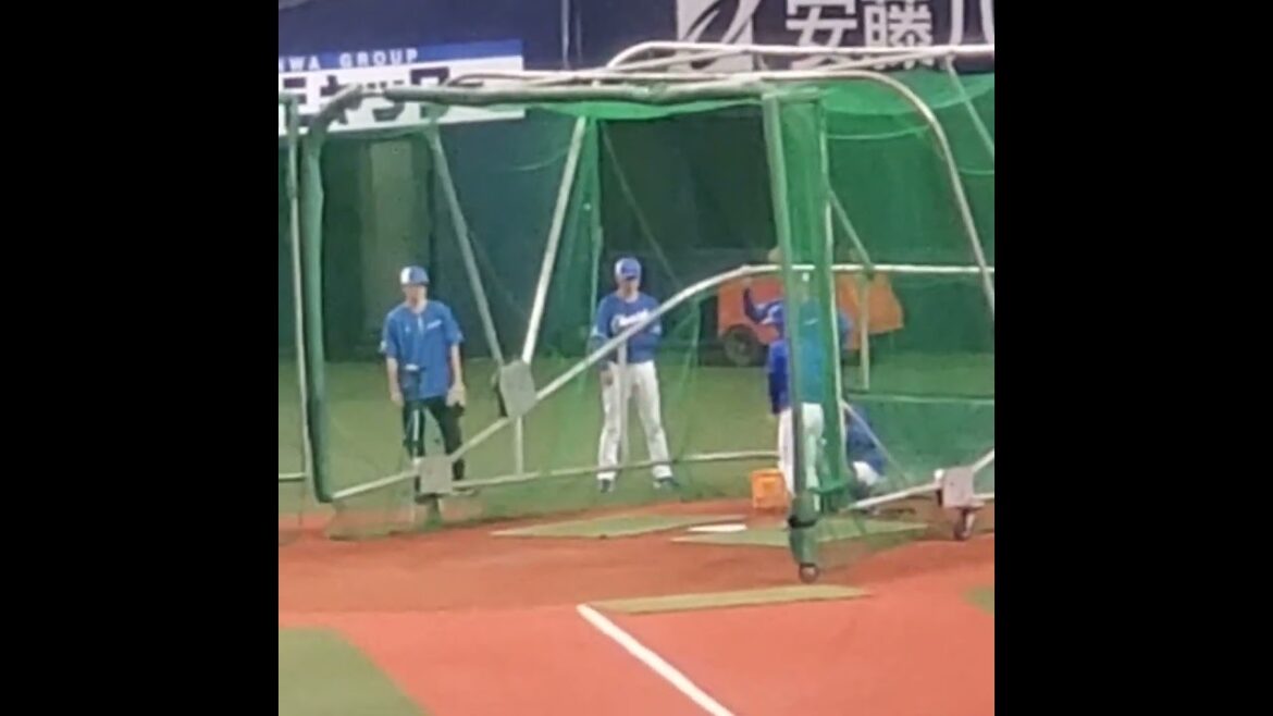 20240602　#加藤匠馬　の打撃成績　試合前　中日ﾄﾞﾗｺﾞﾝｽﾞ　#shorts@京ｾﾗﾄﾞｰﾑ大阪･ﾚﾌﾄ外野下段 日本生命ｾ･ﾊﾟ交流戦
