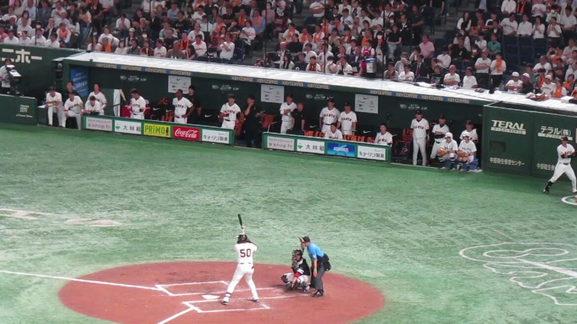 【無死一、三塁】オコエ瑠偉が無死一、三塁バントの構えで山﨑伊織が阿部監督の方みたり隣に何か聞いたり ヘルナンデスが固まってたりでベンチが面白い（巨人対ソフバン2024年5月28日）