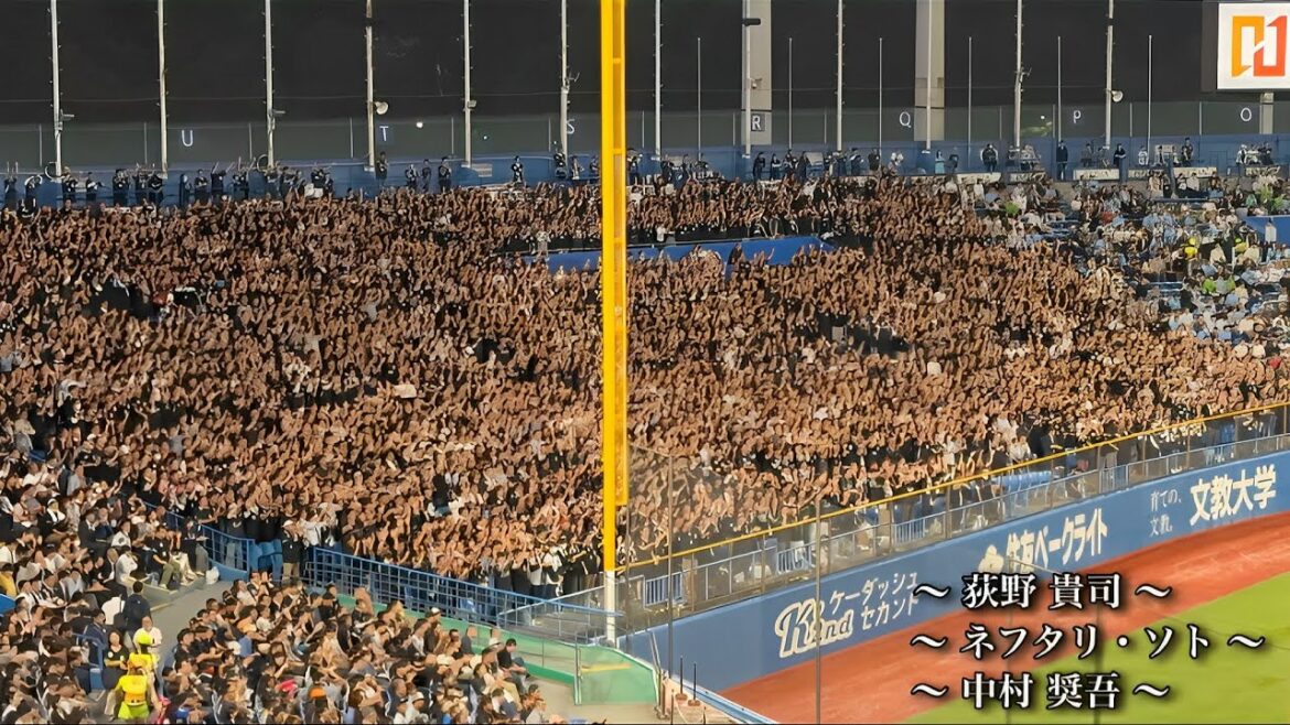 【千葉ロッテマリーンズ】応援の一体感 荻野貴司–ネフタリ・ソト–中村 奨吾 @交流戦 神宮