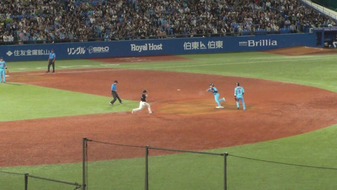 ヤクルト 長岡秀樹のキャッチによる、663のダブルプレー　ヤクルト vs ロッテ　2024年5月29日(水)