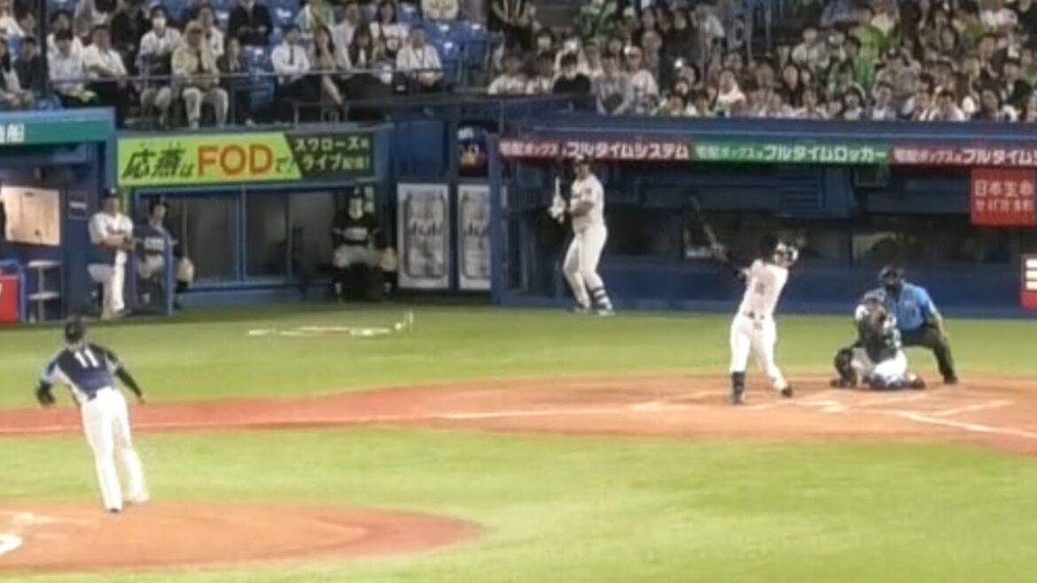 武岡龍世、3号2ランホームランを放つ 20240605