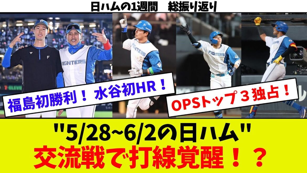 【日ハム一週間振り返り】交流戦で打線覚醒！？　田宮が近藤を抑え首位打者に！！　福島ついに初勝利！　水谷打ち直しで初HR！　水野まるでアーチスト！　5/28~6/2一挙振り返り！