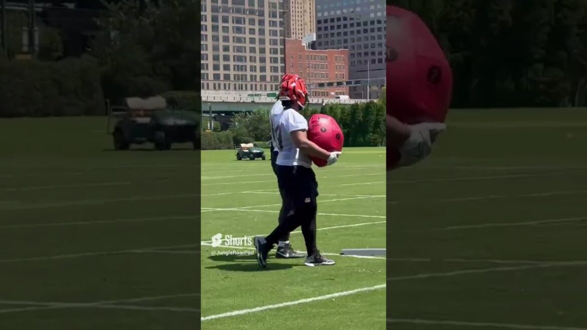 Frank Pollack coaches up first round pick RT Amarius Mims foot work Tuesday at Bengals OTAs