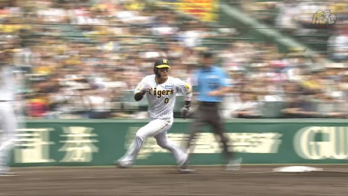 【先制】3回裏、#中野拓夢 選手のライト線タイムリーツーベースヒット！【2024/6/8Ｔ－Ｌ】