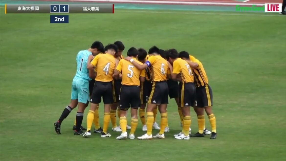 ハイライト【福岡IH2024男子】決勝　東海大福岡 vs 福大若葉　福岡県高校総体サッカー競技大会（スタメン概要欄）