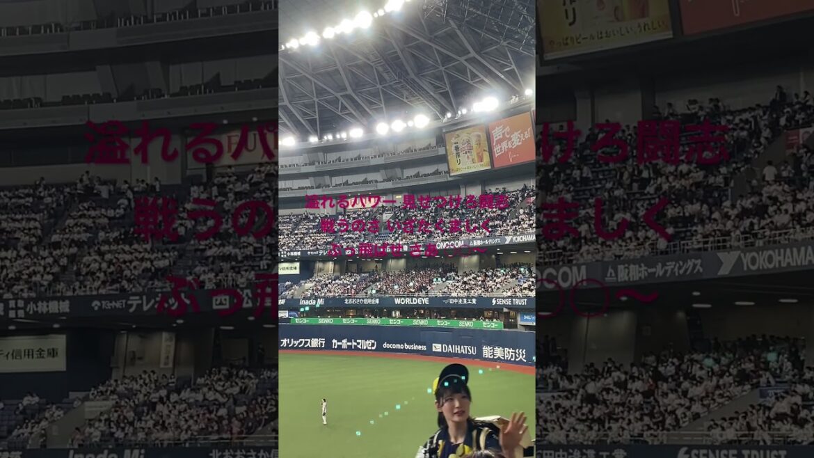 楽天イーグルス平良竜哉 ウィーラー流用応援歌　2024.5.22 @京セラドーム大阪