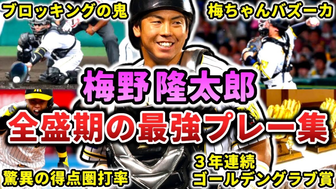 【最強捕手】梅野隆太郎 全盛期の最強プレー集!! 凄すぎるブロッキング性能!! (Ryutaro Umeno)