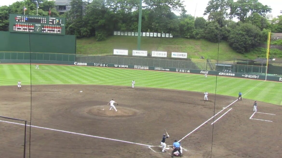 グリフィン〜赤羽由紘と増田珠を打ち取る2024年5月29日 読売ジャイアンツ対ヤクルトスワローズ