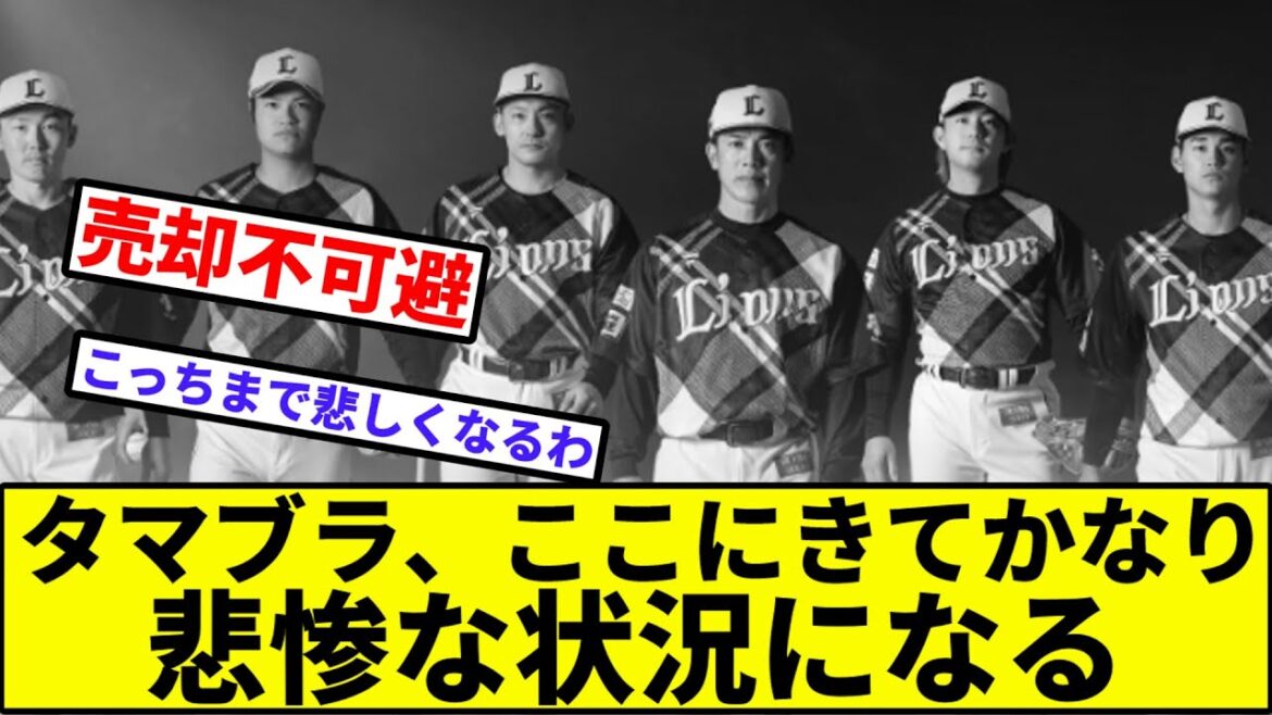 【稼頭央、選手復帰待ったなし】タマブラ、ここにきてかなり悲惨な状況になる【なんJ反応】【プロ野球反応集】【2chスレ】【1分動画】【5chスレ】【西武ライオンズ】【渡辺久信】【交流戦】