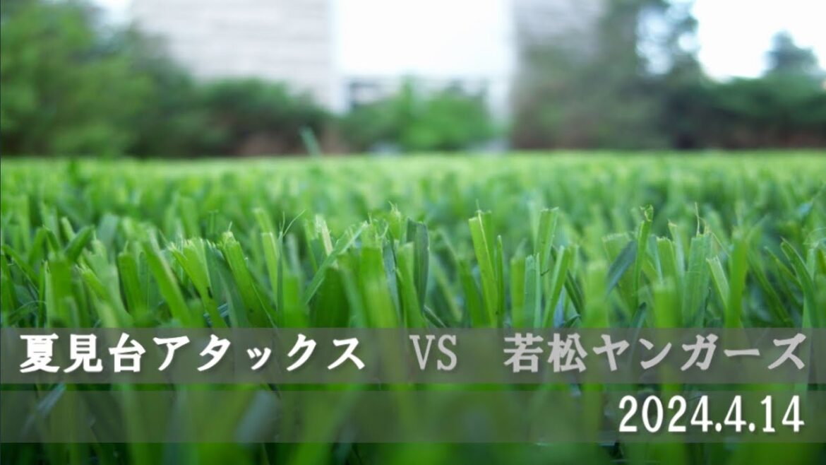 20240414夏見台アタックスvs若松ヤンガーズ(高瀬B)