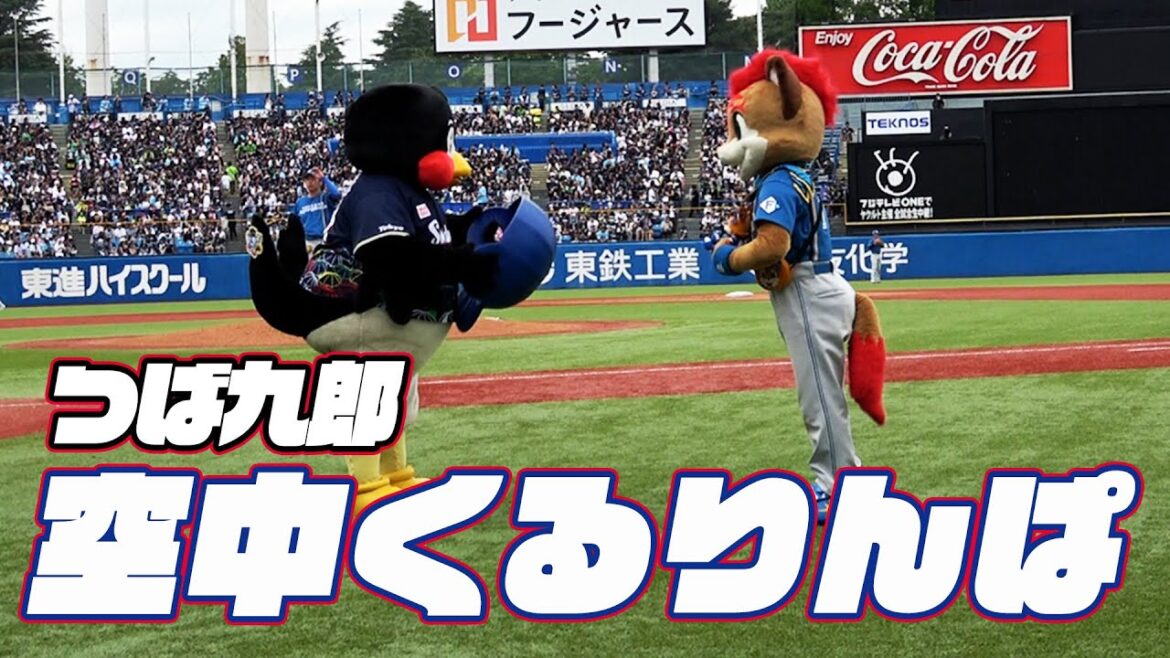 今日もフレップと挑戦！つば九郎空中くるりんぱ｜2024年6月9日 北海道日本ハムファイターズ戦（神宮球場）