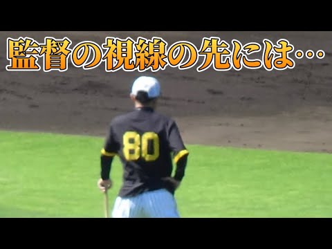 阪神タイガース 試合前練習②守備練習編 阪神タイガース 試合前練習②守備練習編