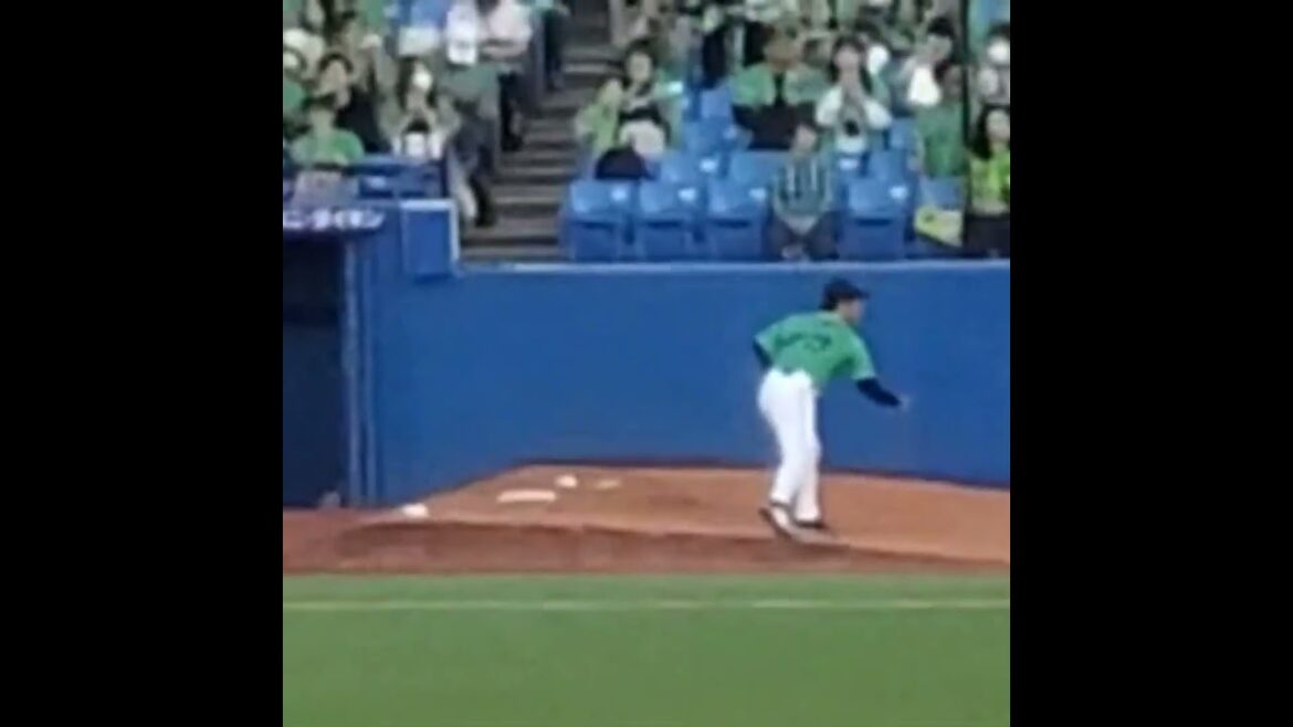 20240511　先発の#ライアン #小川泰弘 ブルペンで投球練習　#shorts@神宮球場･ﾚﾌﾄ外野 明治神宮野球場