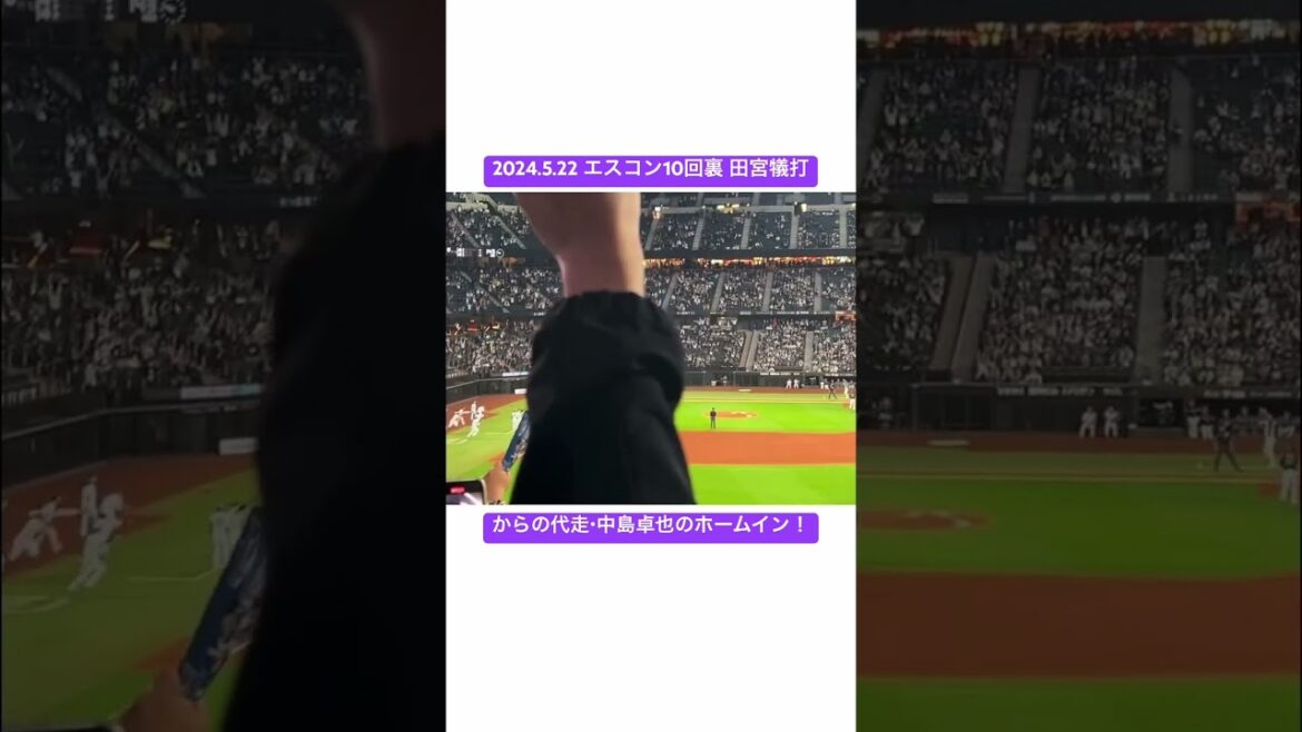 【感動絶叫】ファイターズ田宮裕涼の犠打からの中島卓也のホームイン！24.5.22　#日ハム