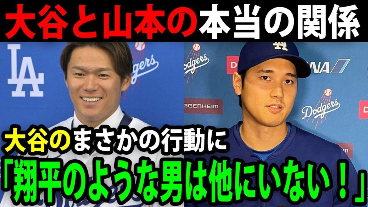 大谷翔平が試合後に山本由伸を待ち伏せし取ったある神対応に賞賛の嵐!日本人同士の絆に感動で涙が止まらない【最新/海外の反応/MLB/大谷翔平】【総集編】 大谷翔平が試合後に山本由伸を待ち伏せし取ったある神対応に賞賛の嵐!日本人同士の絆に感動で涙が止まらない【最新/海外の反応/MLB/大谷翔平】【総集編】