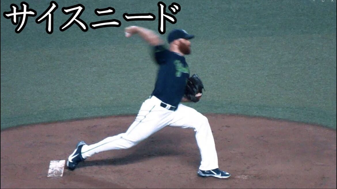 [ヤクルト] サイスニード 投球フォーム (スローモーション付)