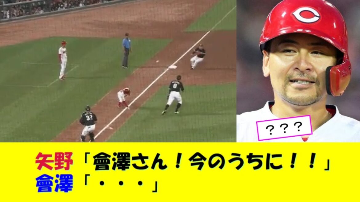 広島カープ・矢野さん、挟まれてもめちゃくちゃ粘る！