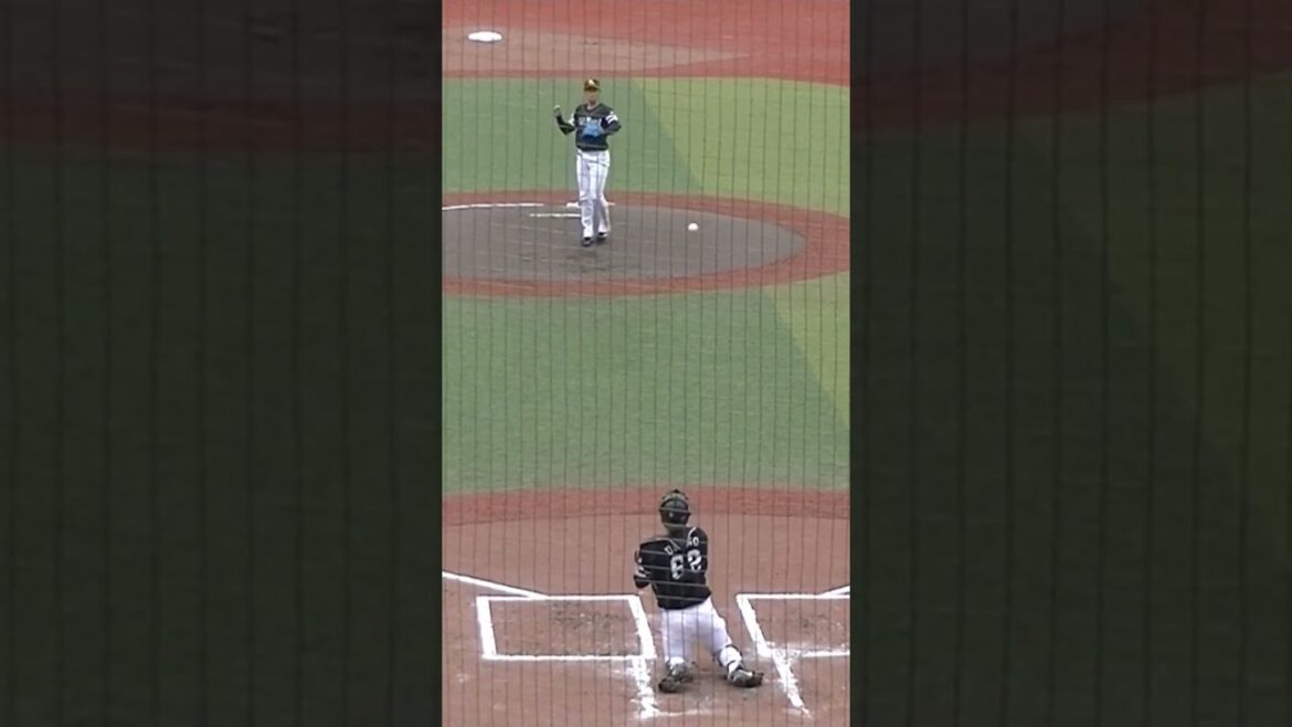 ホークス板東 湧梧ピッチングフォーム2024年3月8日