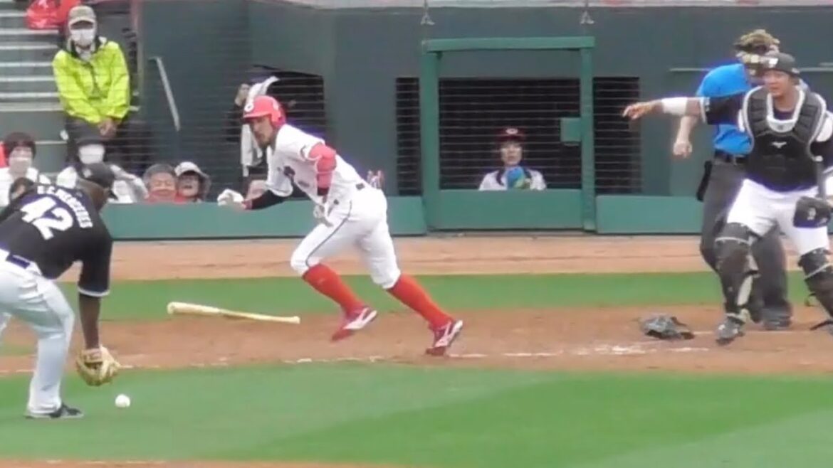 よく当てた！菊池涼介が見事にスクイズを決める！2024年6月9日