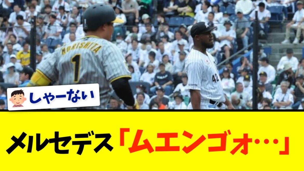 【ロッテ】完封負けで連勝は11でストップ