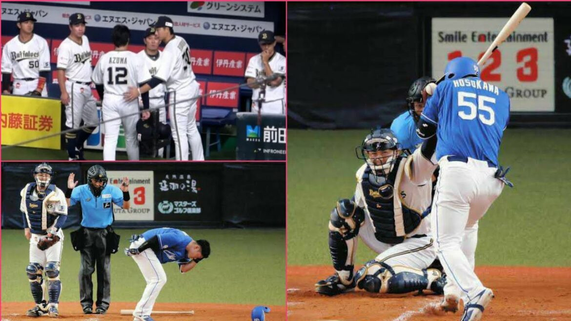 中日・細川成也に死球、オリックス・東晃平が危険球退場…球場ざわめく リプレー検証も覆らず