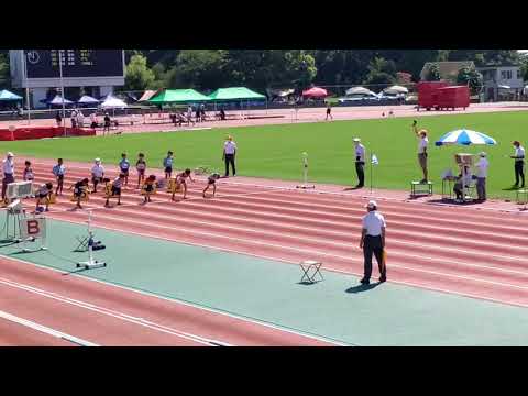 【50m走】#陸上 #陸上競技 #50m走 #小学生 #男子 #1年生 #2年生 #3年生 #速い #sprint #run #江東区 #江東区ナイター 【50m走】#陸上 #陸上競技 #50m走 #小学生 #男子 #1年生 #2年生 #3年生 #速い #sprint #run #江東区 #江東区ナイター