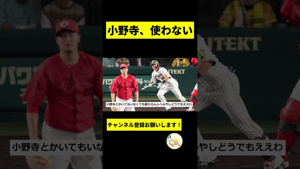 【阪神】小野寺暖が完全に干された件についてwwwwwww【2chスレ】