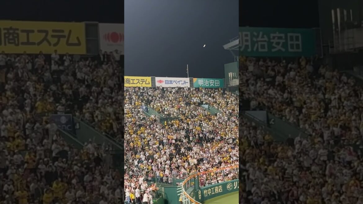 #小郷裕哉 #逆転ホームラン #あと一人コール #現地映像 辛いです #阪神タイガース #楽天イーグルス