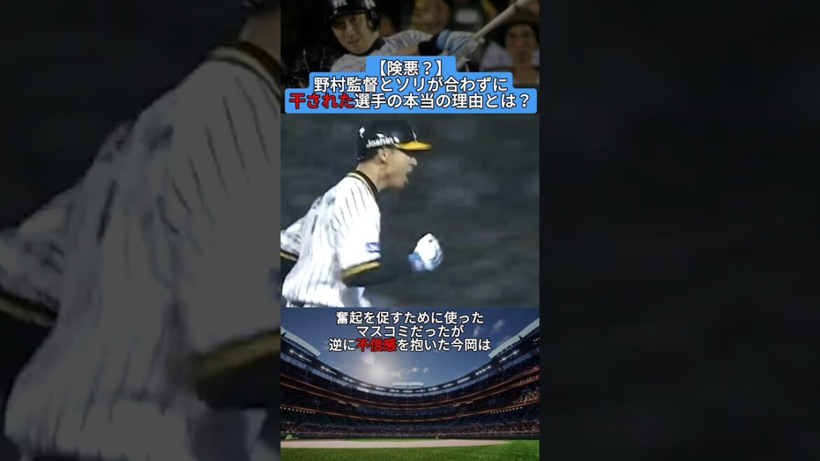 【険悪？】野村監督とソリが合わずに干された選手の本当の理由とは？ #shorts #野球 #プロ野球 #baseball #creator #creators #雑学 #阪神 #野村克也 #栗山英樹