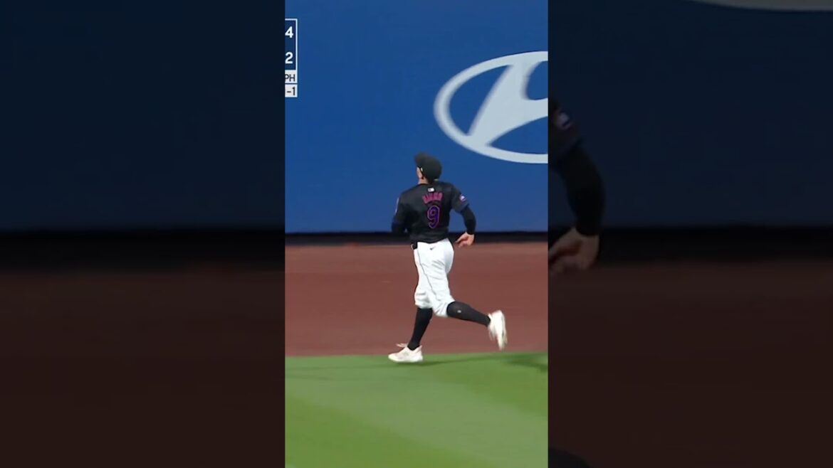 Brandon Nimmo with the leaping catch 🤩 #mets #baseball #defense