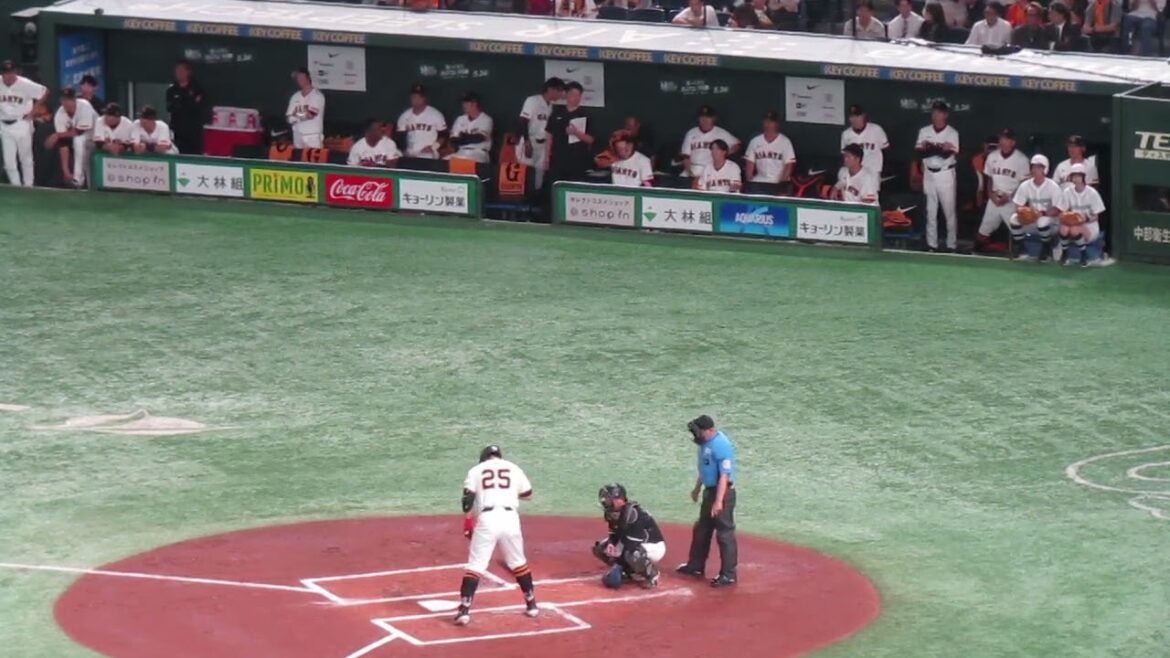 吉川尚輝の盗塁を刺す田村龍弘と巨人ベンチの様子＜読売ジャイアンツ対 千葉ロッテマリーンズ2024年6月6日＞