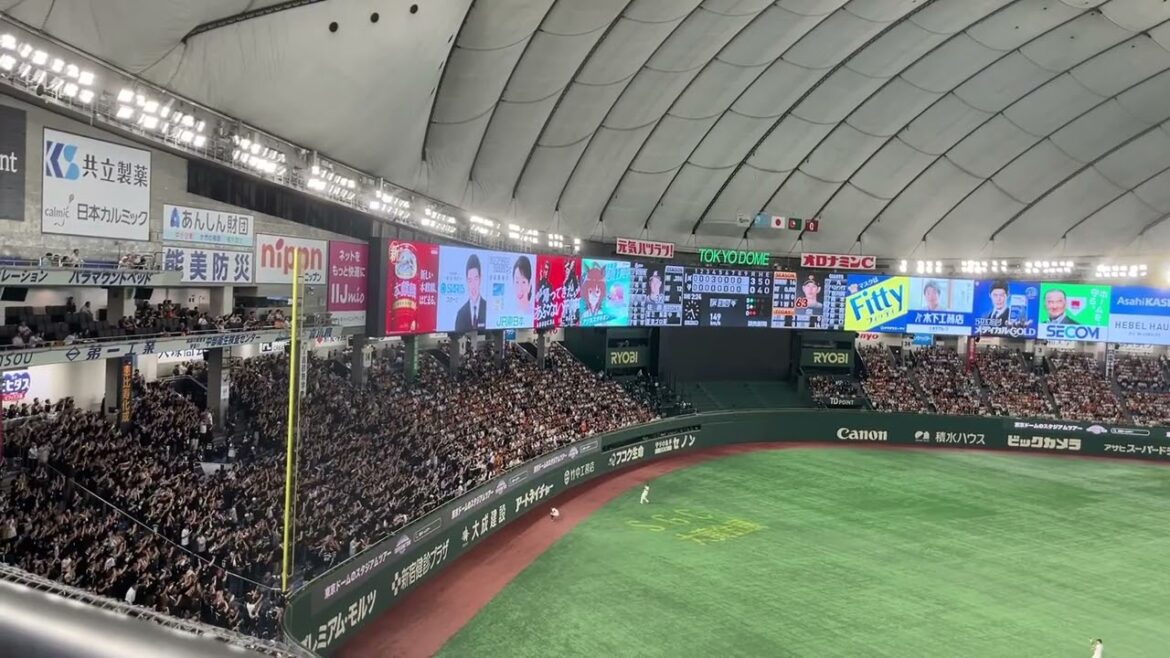 2024 千葉ロッテ 佐藤都志也 応援歌