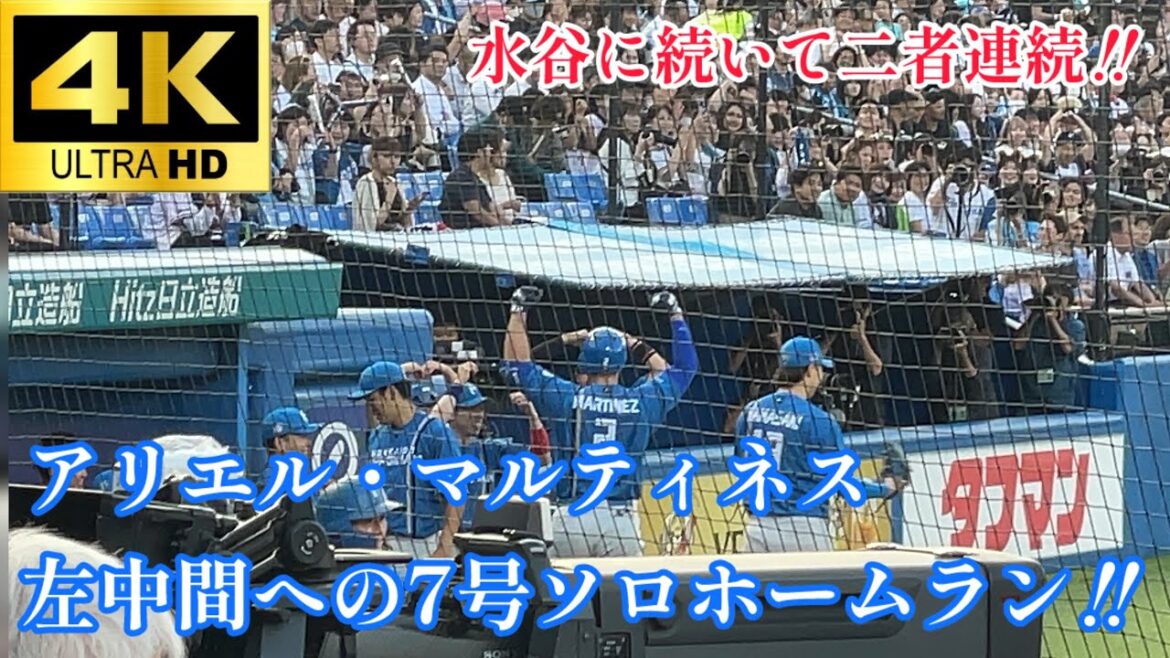 【水谷に続いてマルティネスも‼︎】アリエル・マルティネス 水谷に続いて二者連続となる7号ソロホームラン‼︎ 北海道日本ハムファイターズ 東京ヤクルトスワローズ プロ野球 2024.6/7