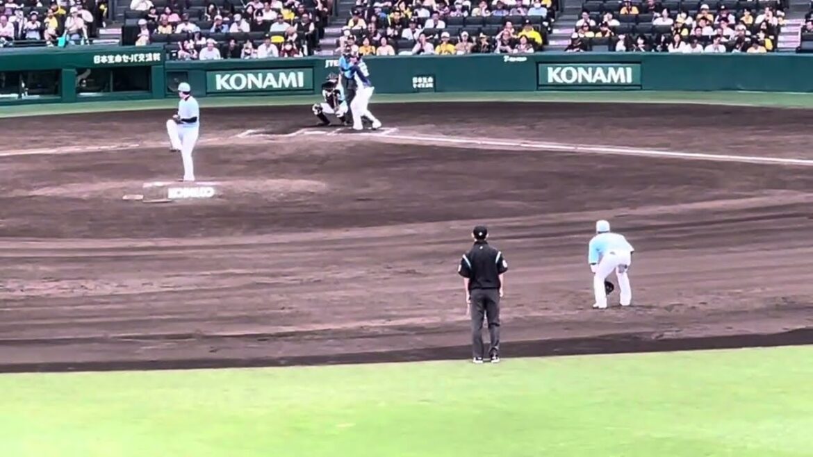 【#とらほー 】陽川選手恩返し打あり！#岩崎優 投手で締めた🐯あと1人から #とらほー # 六甲おろし 〜現地雰囲気 24.6.9. #阪神甲子園球場 #交流戦 🆚#埼玉西武ライオンズ