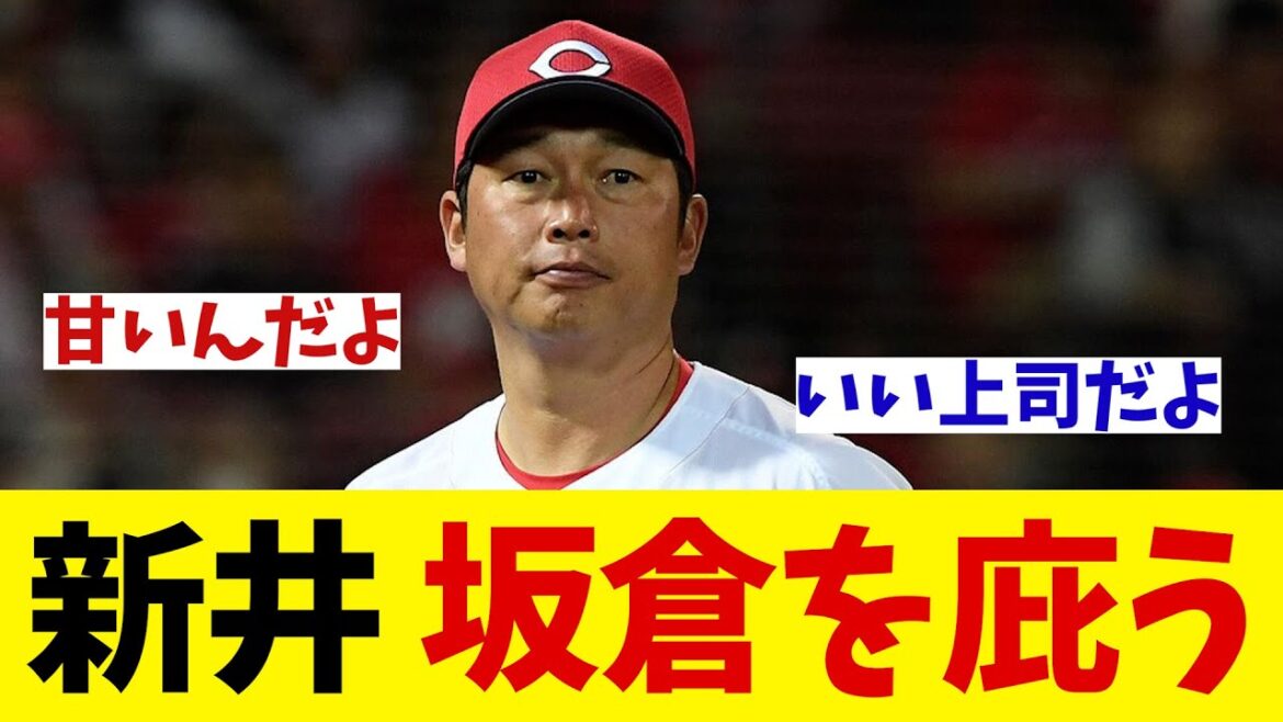 広島カープ・新井監督　坂倉を庇う・・・【野球情報】【2ch 5ch】【なんJ なんG反応】