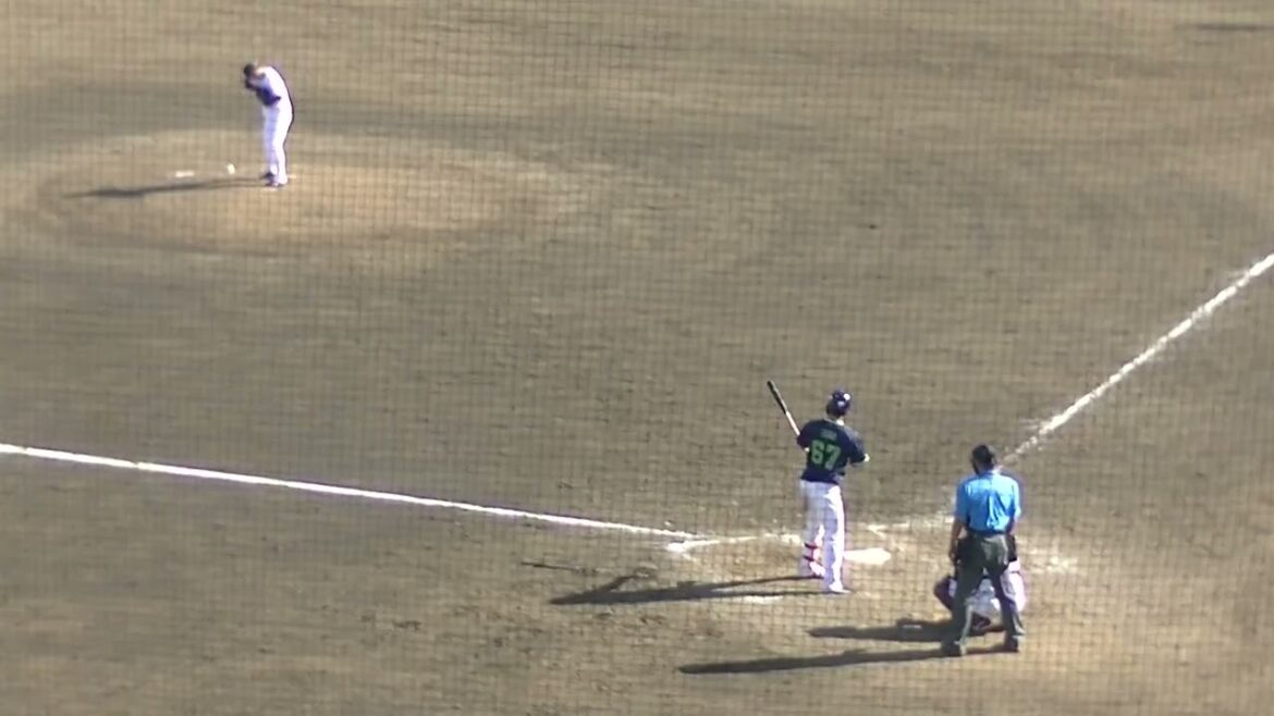 馬場皐輔 最後のバッター伊藤琉偉を打ち取り見事セーブで巨人勝利（読売ジャイアンツ対 ヤクルトスワローズ2024年5月29日）